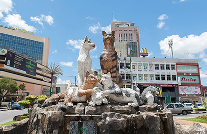 Kinh nghiệm du lịch phượt Kuching