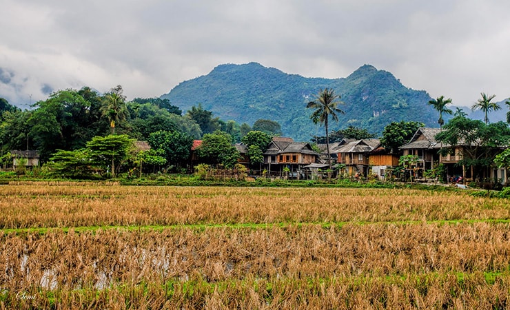 Kinh nghiệm du lịch phượt Bản Lác