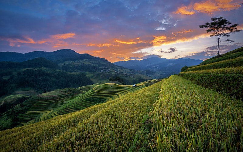 Kinh nghiệm du lịch phượt Mù Cang Chải