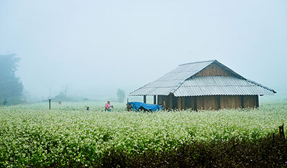 Kinh nghiệm du lịch phượt Sơn La