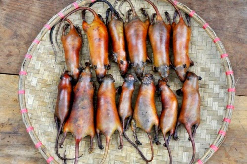 Thịt Chuột La Chí Hà Giang