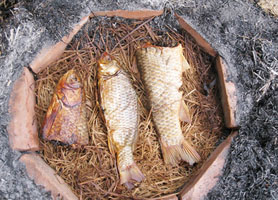 Cá nướng úp chậu Nam Định