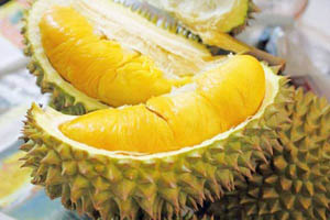 Sầu Riêng Brunei