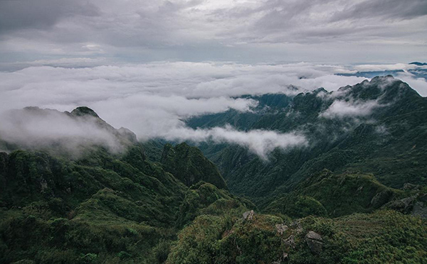 Fansipan, Việt Nam