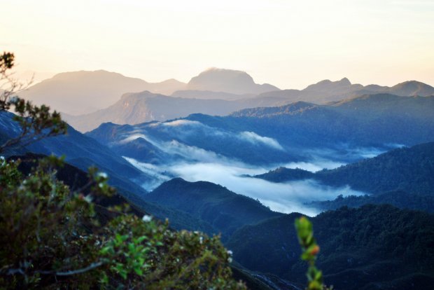 Gunung Tahan, Malaysia