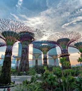 Garden By The Bay