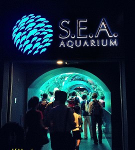 Sea Aquarium