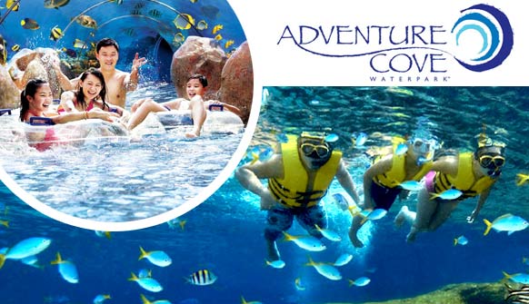 Adventure Cove WaterPark