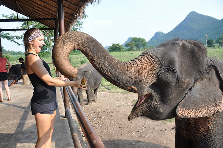 Elephant’s World Kanchanaburi