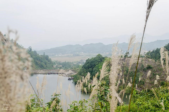 Hồ Ly (Hồ Thượng Long) Phú Thọ
