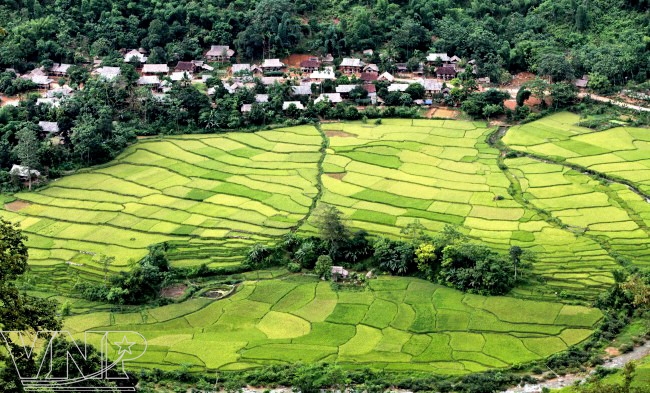 Khu bảo tồn thiên nhiên Pu Canh