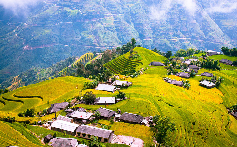 Hoàng Su Phì