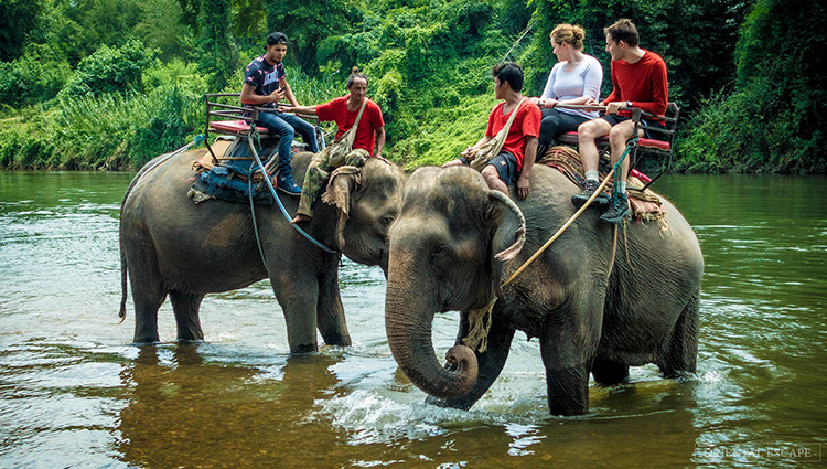 Pattaya Elephant Village