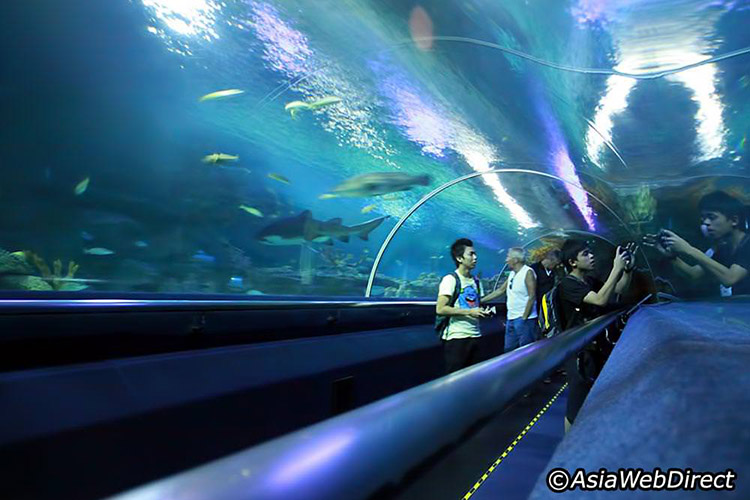 Thủy cung Aquaria KLCC