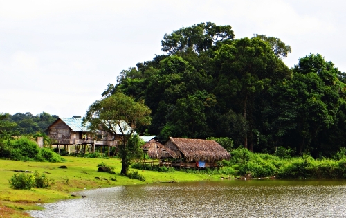 Trảng cỏ Bù Lạch