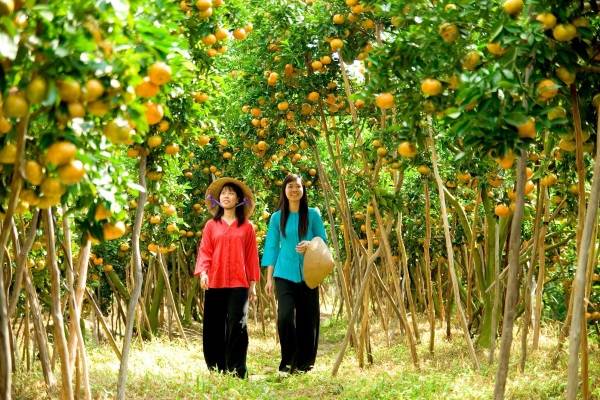 Vườn trái cây Long Khánh