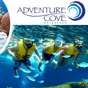 Adventure Cove WaterPark