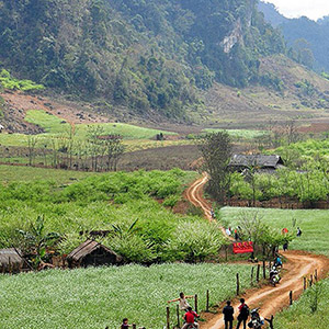 Bản Thông Cuông