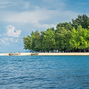 Bamboo Island