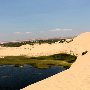 Bàu Trắng