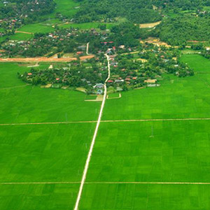 Cánh đồng Mường Thanh