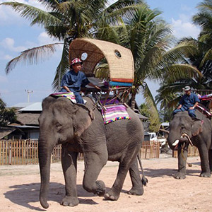 Cưỡi voi Luang Prabang