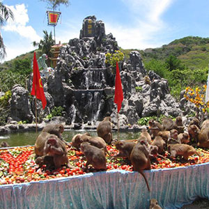 Đảo khỉ Nha Trang