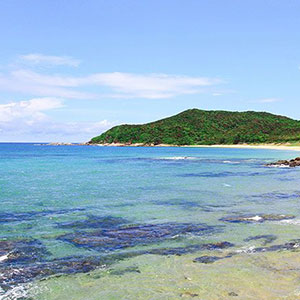 Đảo Thanh Lân