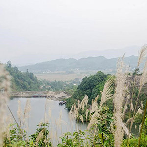 Hồ Ly (Hồ Thượng Long) Phú Thọ