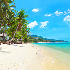 Làng dừa Koh Samui