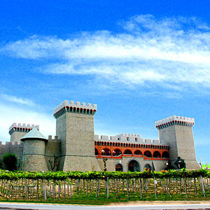 Lâu đài rượu vang RD