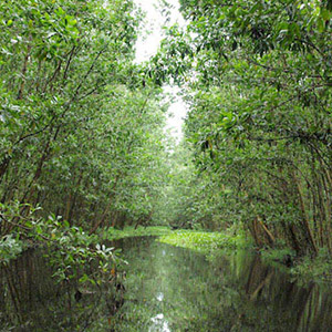 Lung Ngọc Hoàng Hậu Giang