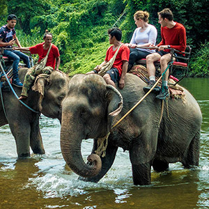 Pattaya Elephant Village