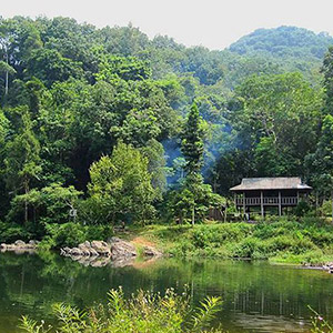 Rừng nguyên sinh Khe Rỗ