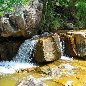 Suối Trúc Tây Ninh