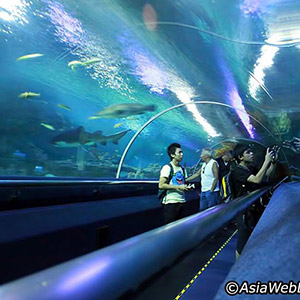 Thủy cung Aquaria KLCC