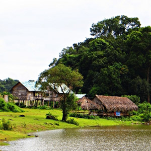 Trảng cỏ Bù Lạch