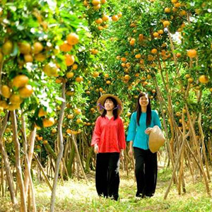 Vườn trái cây Long Khánh