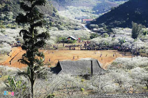 Bản Phiêng Cành