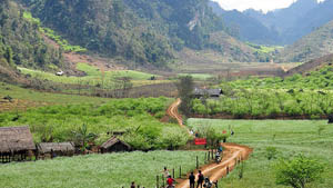 Bản Thông Cuông