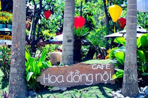 Cafe Hoa Đồng Nội Nha Trang
