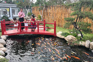 Cafe Iokkoi - Zen Garden Bến Tre