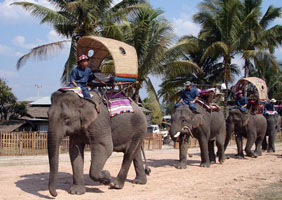 Cưỡi voi Luang Prabang