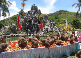 Đảo khỉ Nha Trang