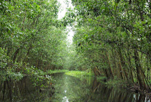 Lung Ngọc Hoàng Hậu Giang