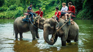 Pattaya Elephant Village