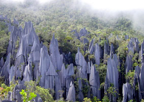 Vườn quốc gia Gunung Mulu